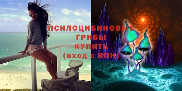 стафф Беломорск