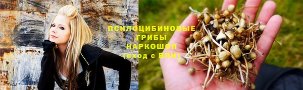 a pvp Белокуриха