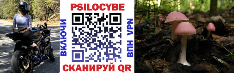 дарнет шоп  Куса  Псилоцибиновые грибы MAGIC MUSHROOMS 